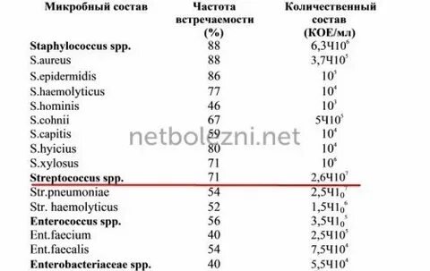 Стафилококк 3 степени