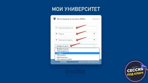 Эиос камышин