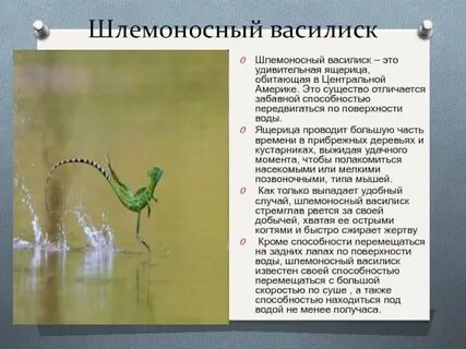 Обладает необыкновенной способностью