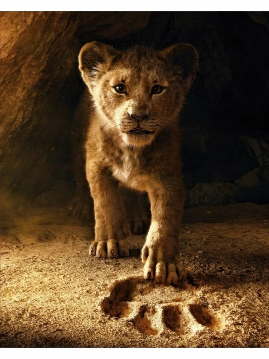 Король лев 2019 муфаса. Король лев фотки. Король лев симба. Король лев фотки. Король лев фотки.