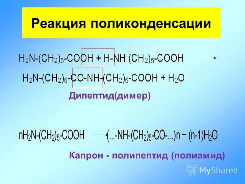 Какие неорганические соединения проявляют амфотерные свойства