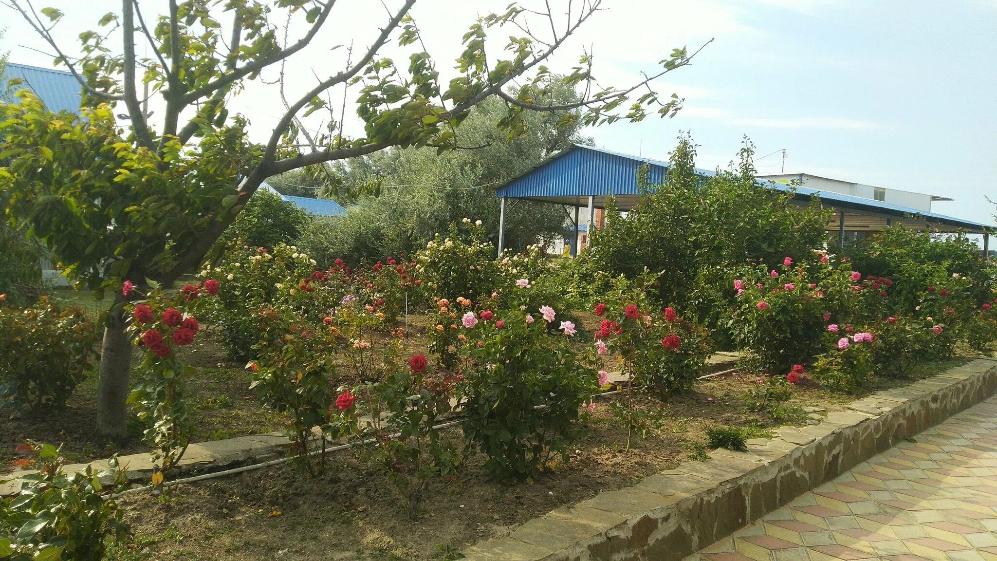 Азовские дачи станица голубицкая. Дом на берегу азовского моря. Гостевой дом причал голубицкая. Ул курортная 104 станица голубицкая. Гостевой дом азовский станица голубицкая.