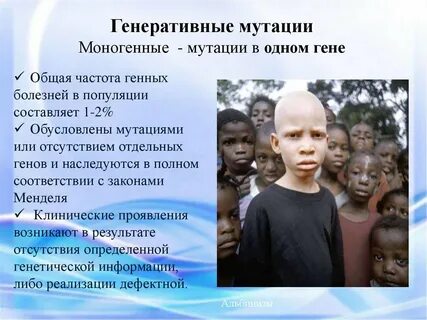 Генеративные мутации возникают