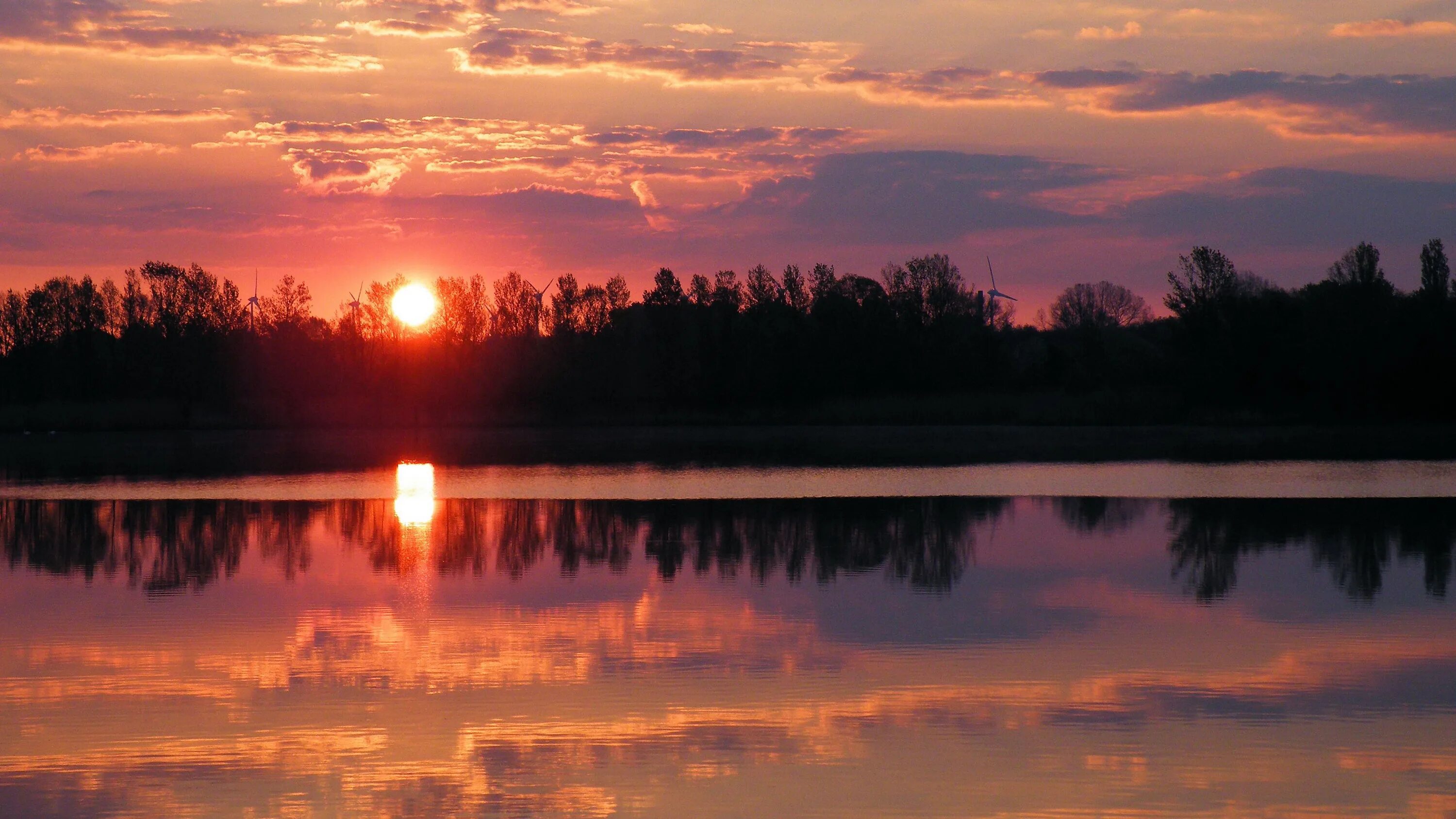 Летний вечер размер. Над светлым озером пурпуровой зари. Рассвет над озером. Летний закат. Природа вечер.