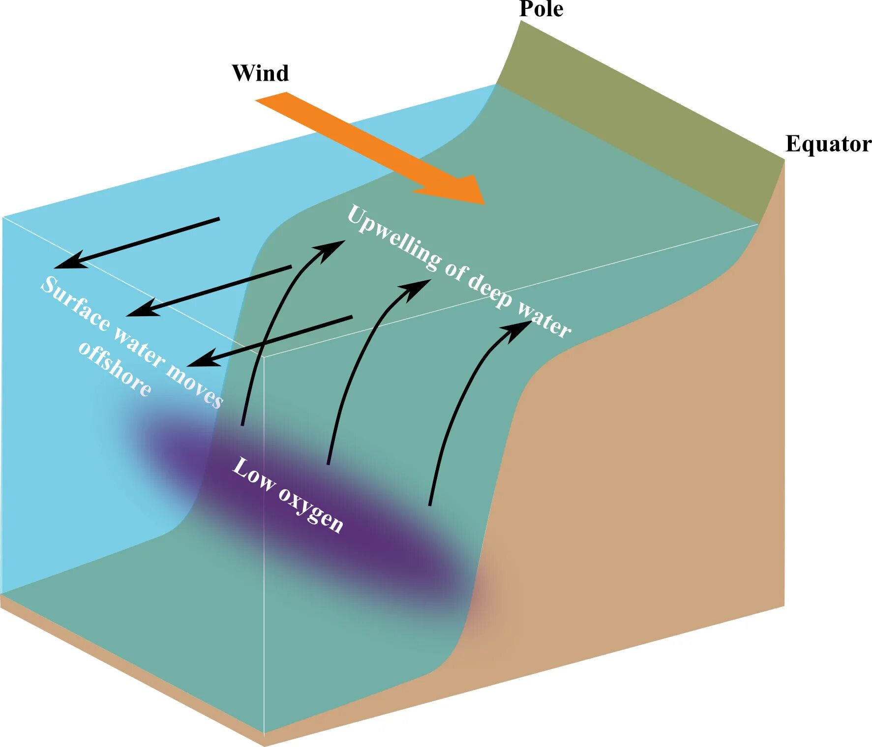 искусственный апвеллинг. апвеллинг что это такое в черном море. апвеллинг что это такое в черном море. перуанский апвеллинг. прибрежный апвеллинг.