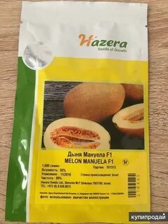 Дыня мануэла