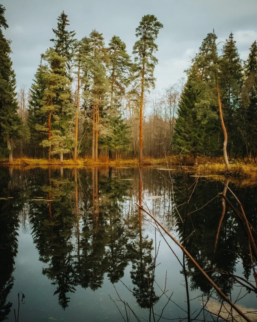 Рыбинск деревня Раздумово. Раздумово пруд. Рыбинское Красноярский край. Раздумово Рыбинский район пруд.