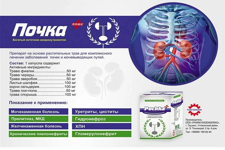 Мкд почек. Таблетки для мочевыводящих путей. таблетки для лечения почек и мочевыводящих путей. буйрак таблетка. таблетка для инъекций мочевыводящих путей.