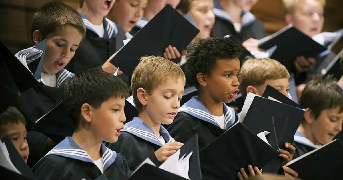 Католическая школа для мальчиков. В какой одежде выступает венский хор мальчиков. Новогодний концерт из вены хор мальчиков и девочек. В какой одежде выступает венский хор мальчиков. Группа венский хор мальчиков.
