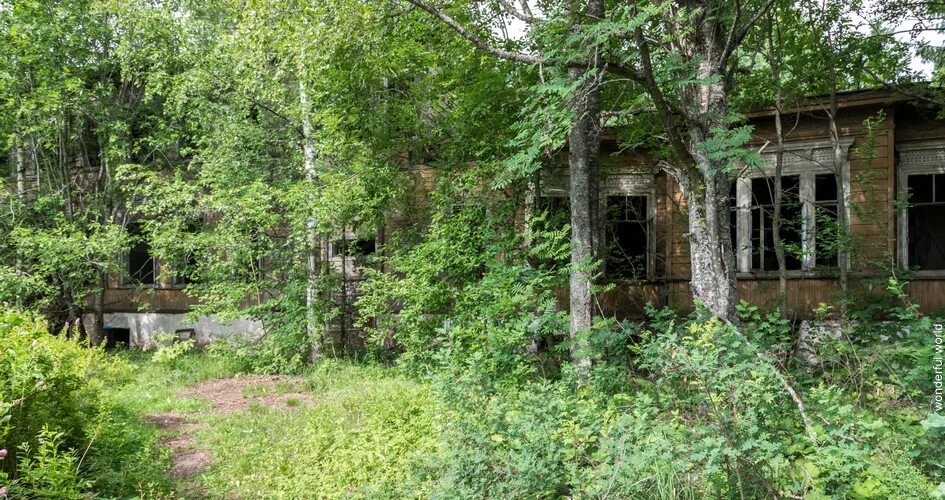 Кладбище кобрино. Усадьба лисянского кобрино. Музей няни пушкина. Музей няни пушкина в кобрино. Пушкина, деревня кобрино.