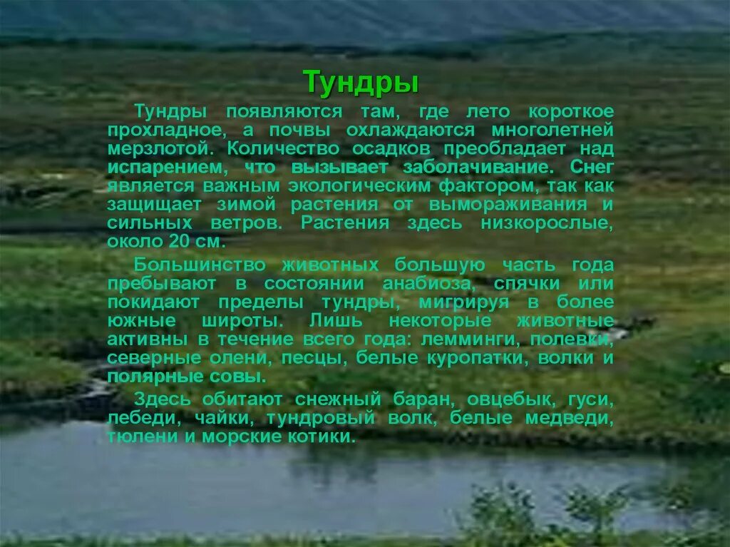 Экосистема тундры. Годовые осадки в тундре. Кол во осадков в тундре. Экологические системы тундра. Изучите фрагмент экосистемы тундры