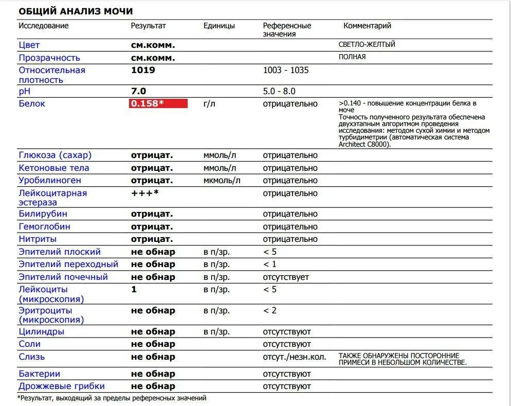 Эпителий в моче у ребенка 8 лет. Исследование мочи по Аддису-Каковскому. Повышены лейкоциты и эритроциты в моче у женщины по Нечипоренко. Оксалаты в моче у ребенка. Бактерии и слизь в моче у женщин