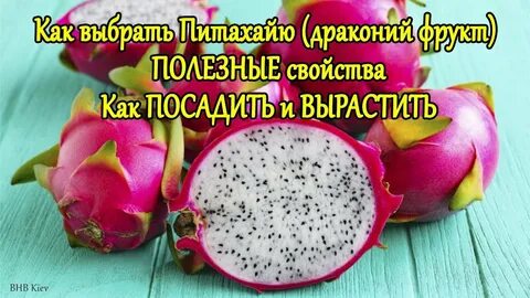 Питахайя фрукт как есть польза