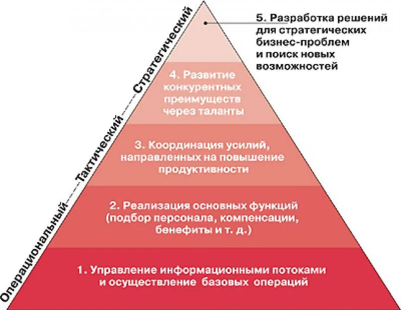 Стратегический HR менеджмент. Стратегические задачи HR. Основные задачи HR службы. Стратегические функции HR менеджмента.