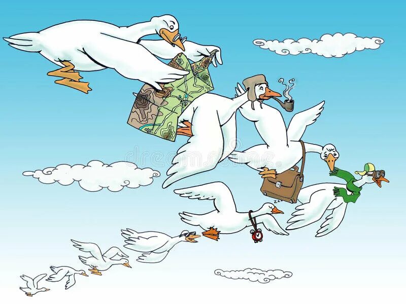 Карикатуры про птиц. Утка карикатура. Гусь карикатура. Гусыня карикатура.