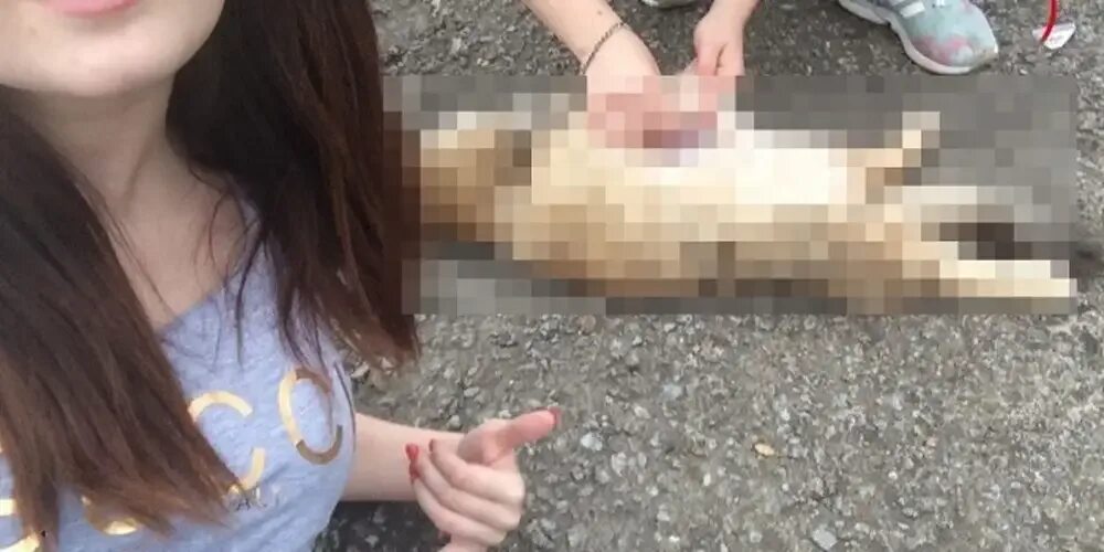 Девушки убивающие животных