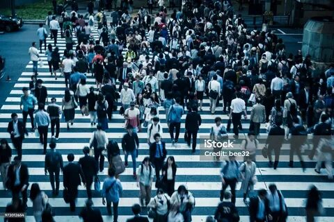 Crowd перевод