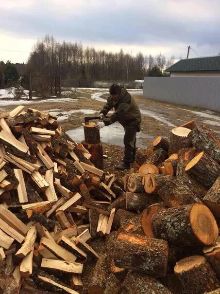 Дрова. Коли дрова. Колят дрова. Дрова приколы. Они колят дрова