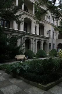 Волна хоста