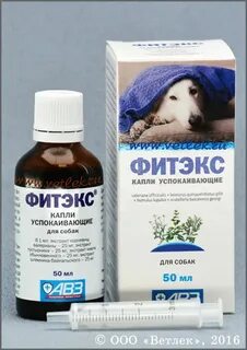 Фитэкс