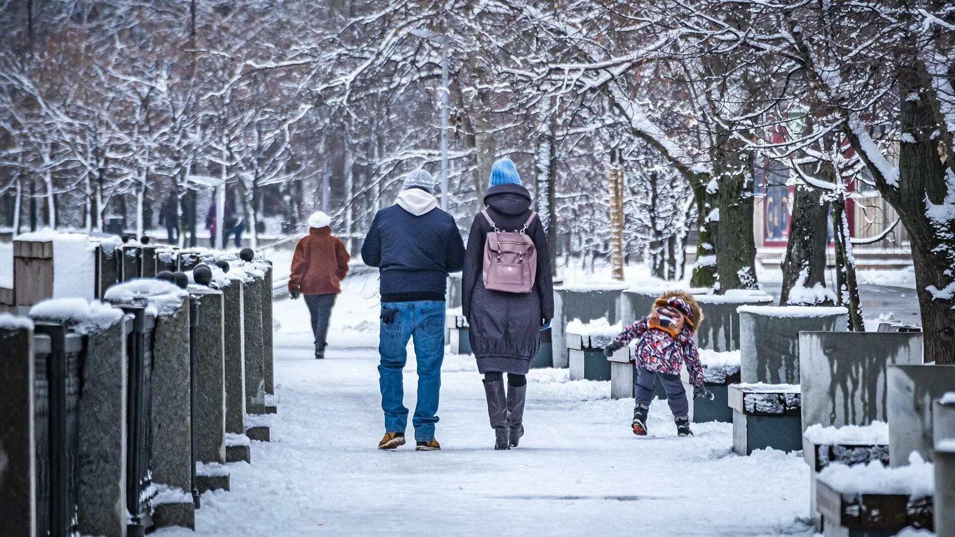 Сколько живет зима. Изменится жизнь зима. Погода в Москве зимой. Небольшой морозец и легкий снег в Иванове. Фото зимней погоды и человека в России.