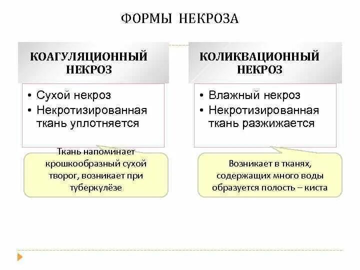 Некроз причины признаки. Коагуляционный и колликвационный некроз. Влажный некроз внешние признаки. Коагуляционный некроз и колликвационный некроз таблица. Разновидности коагуляционного некроза.