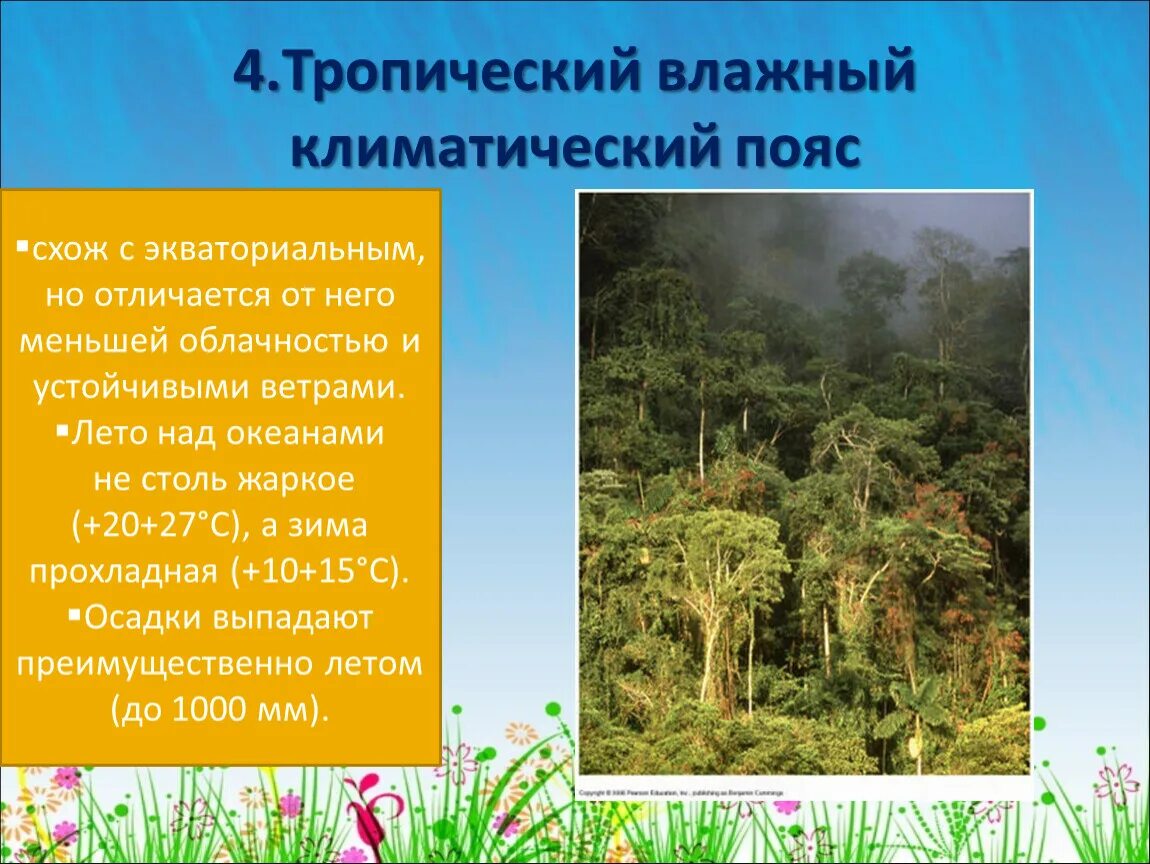 Тропический пояс 6 класс география. Тропический пояс. Тропический климатический пояс. Тропический экваториальный. Климат тропического пояса.