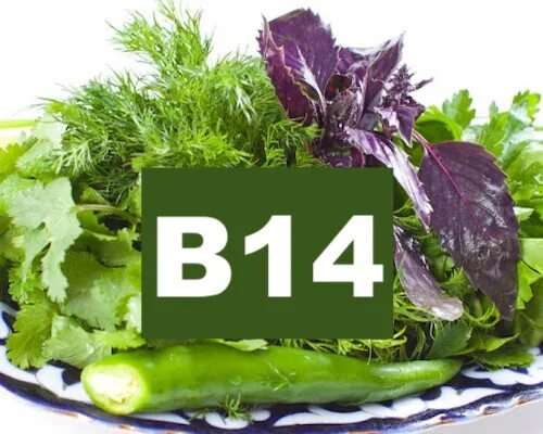 Витамин в10. Витамин в14. Продукты богатые витамином в6 таблица. Витамин в 14 где. Что такое витамины.