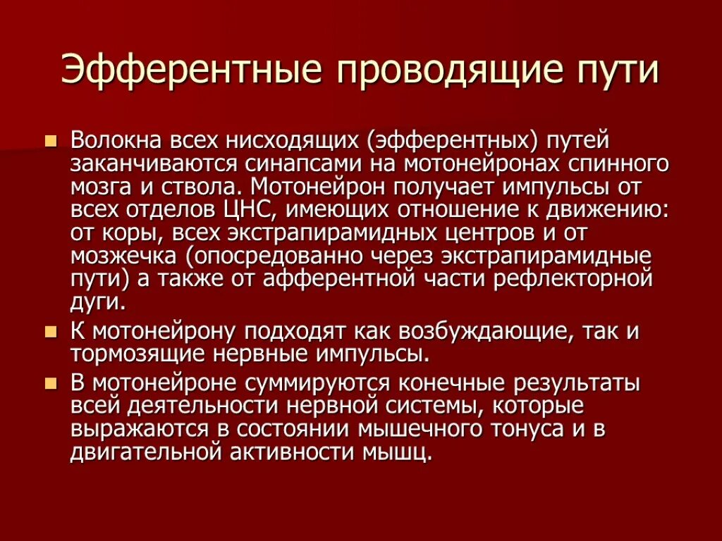 Афферентные волокна. Афферентные волокна. Афферентные и эфферентные нервные волокна мозжечка. Афферентные волокна. Афферентные волокна.