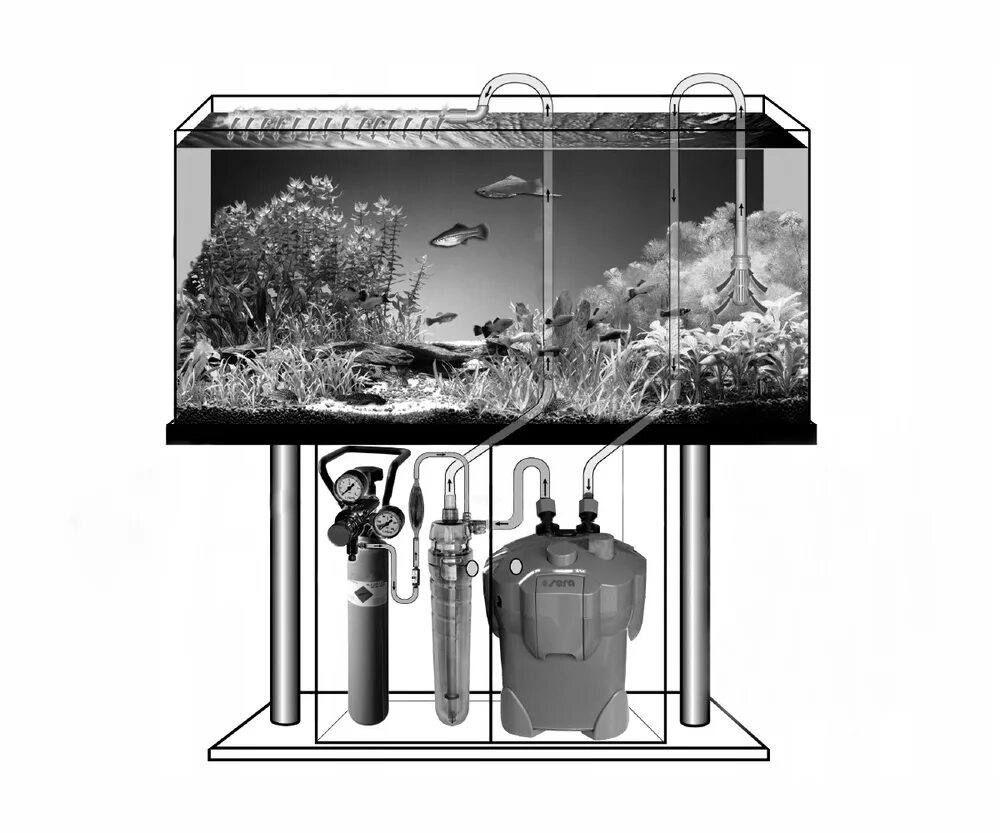 Питьевой воде содержатся растворенные газы o2 co2. Реактор co2 sera flore co2. реактор co2 sera start. sera flore active reactor 500. сера flore co2.