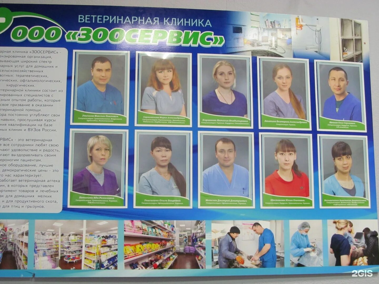 Улица красной звезды 51 а чита. Ветклиника на комсомольской чита. Комсомольская 40 братск. Ветклиника чита. Зоосервис шахты.