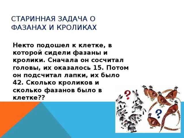 Сколько ног у фазанов и кроликов. Старинная задача про фазанов и кроликов. Задачи типа фазаны и кролики. Фазаны и кролики.