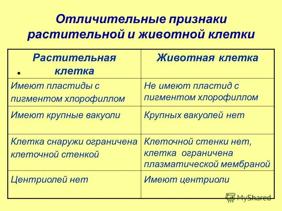 Выберите признаки растительной клетки. Отличительные признаки пластиды растительная и животная клетка. Отличительные признаки для Эир.