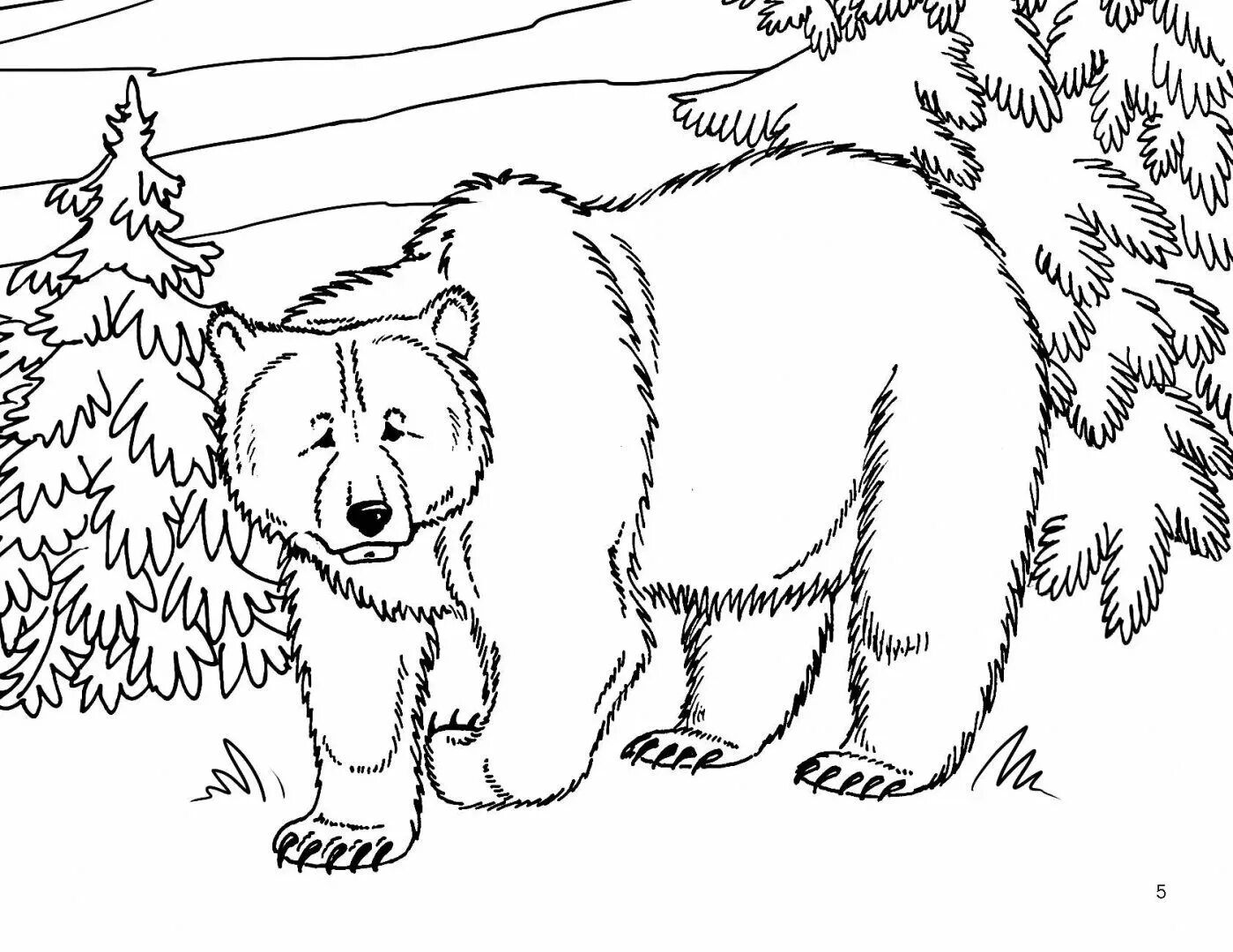 Раскраска медведь для детей 2 3 лет. Медведь раскраска. Раскраска медведь в лесу. Раскраска. Медвежонок. Раскраска "Дикие животные".
