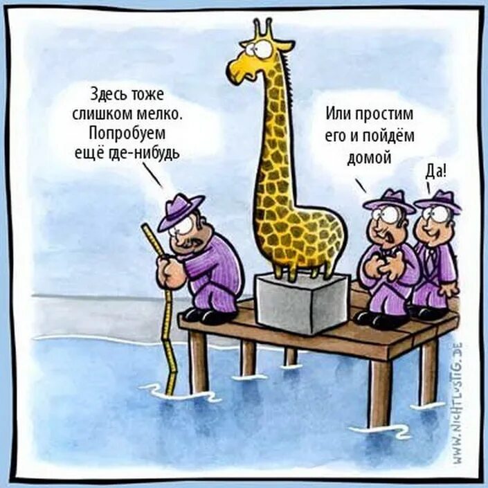Жирафы юмор. Шутки про жир. Шутки про Жирафов. Смешные шутки про жирафа.