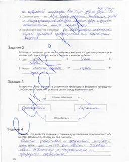 Биология 5 класс стр 24