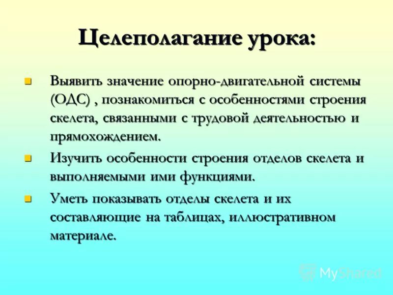 Опорное значение. Значение ОДС. Вопросы по уроку анатомии. Особенности скелета связанные с трудовой деятельностью.