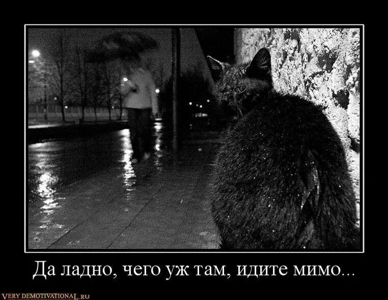 Мимо рощи мимо яра загадки. Мимо рощ. Беречь мимо рощ. Стих вы идущие мимо меня цветаева. В поле травы хороши а на речке камыши.