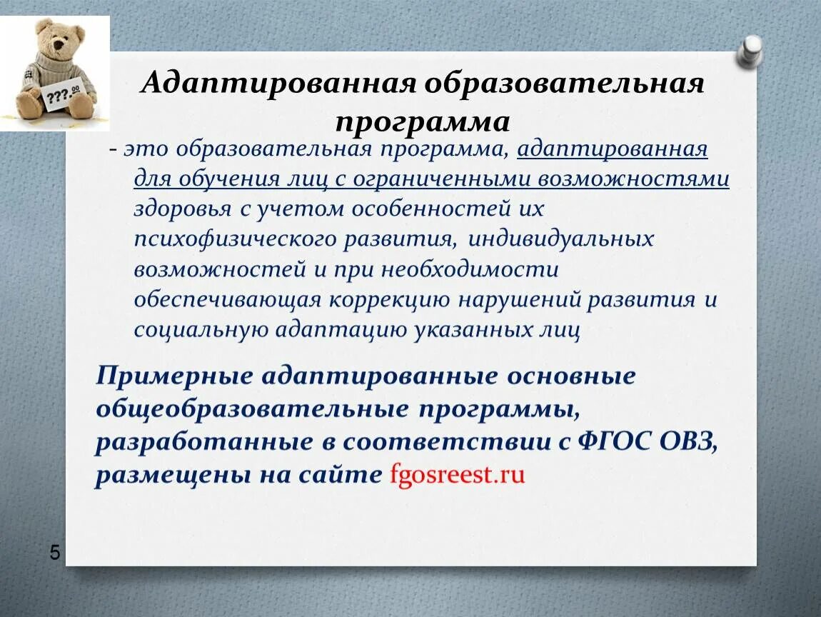 Положение разработка адаптированной