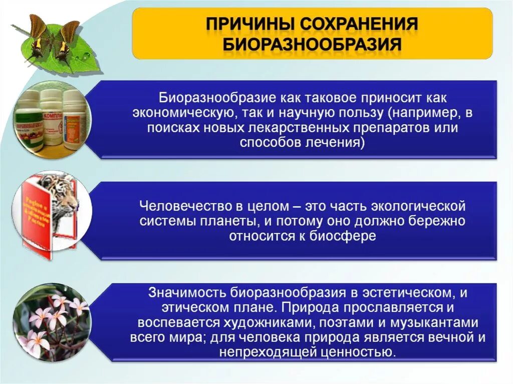 Снижение биологического. Сохранение биологического разнообразия. причины сохранения биоразнообразия. пути сохранения биоразнообразия. важность сохранения биоразнообразия на земле.