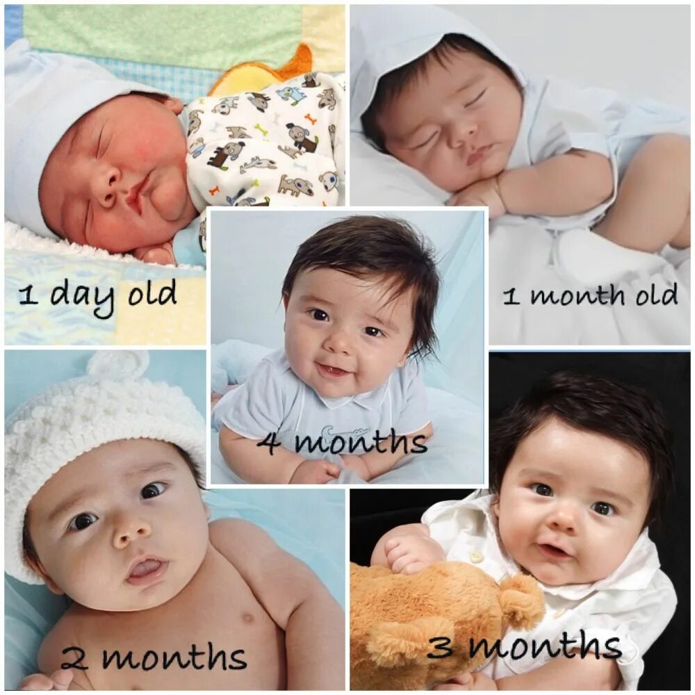 4 months old. 2 Months old Baby. 2 Months Baby. 4 Months Baby. 1 Month Baby.