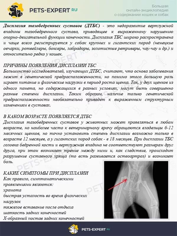 Лечение заболеваний тазобедренного сустава