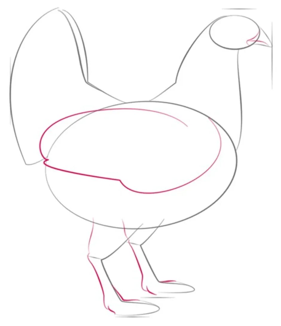 Курица нарисовать легко. Схема рисования курицы. Курица карандашом. Как рисовать курицу. Курица по этапно.