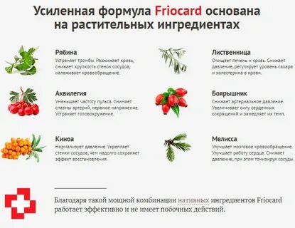 Рябина понижает давление