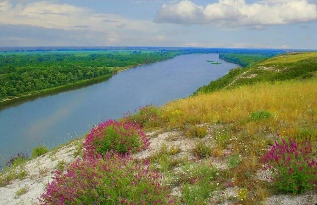 Край донской - блог Санатории Кавказа