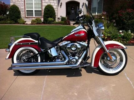Harley softail
