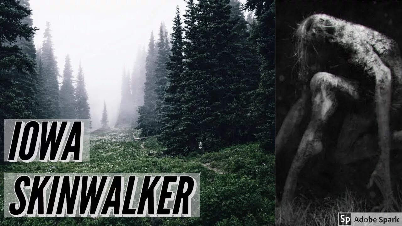 Skinwalker кто это. Ранчо Скинуокер оборотни.