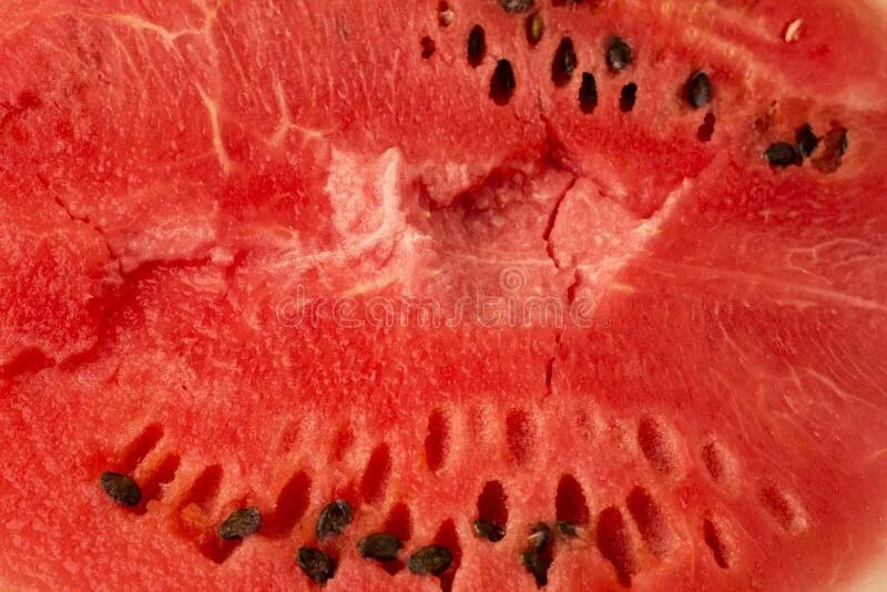 сделать описание строения клетки (вакуоли, цитоплазма обязательно и т.д.) - Школ