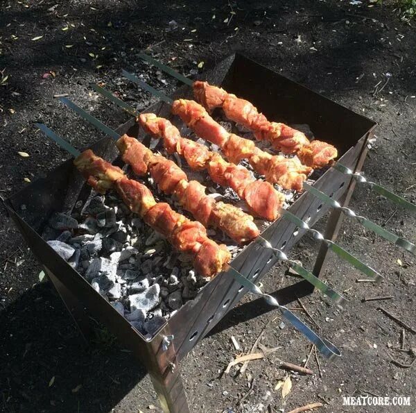 Шашлыки в Подмосковье. Шашлык Московский. Место для шашлыка в Подмосковье. Мос шашлык.