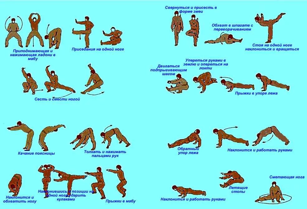 девушка фитнес дома. комплекс 18 упражнений. основные асаны йоги для начинающих в картинках. лёгкие асаны в йоге для начинающих. сила и как сделаться сильным гимнастика сандова.